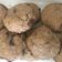 Cooksnap dari ajeng puspasari untuk resep Chocochips Soft Cookies (No Mixer)