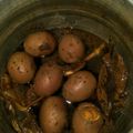 Cooksnap dari Saya Rya untuk resep Telur Bacem