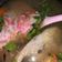 Cooksnap MommyNad semasa beliau membuat Sup Ikan Merah.