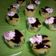Cooksnap dari Aymah_JJ untuk resep Bolu jeruk mini #55