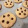 El cooksnap de Francisca Córdova cuando hizo Galletas de avena y miel.