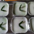 Cooksnap dari Iin Widi untuk resep Lumpur Surga