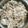 Monica Chen 的 麻油雞飯 cooksnap