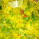 Neeta kamble's cooksnap of when they made Kanda poha.