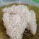 Cooksnap dari Tuti Suprapti untuk resep Lupis Ketan (anti gagal)