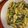 El cooksnap de Valentin Centurion cuando hizo Pasta integral con espinacas y crema de cheddar.