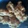 Cooksnap dari Fitria untuk resep Ayam goreng crispy