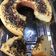 Cooksnap dari Yunita Angela untuk resep Bolu panggang tanpa bahan pelembut dan pengembang