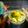 Cooksnap FZ Adzlin semasa beliau membuat Air buah Campur Avocado.