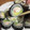 El cooksnap de katiiruiz cuando hizo Sushi fácil y rico!.