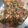 Cooksnap dari Dewi Fita Sari untuk resep Udang sambal peteh
