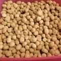 Cooksnap dari yuyun untuk resep Kacang Telor renyah