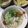 Cooksnap của Quỳnh Hương Hoa khi họ làm theo món Bánh canh cá lóc