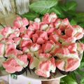 Cooksnap dari Angelina Izena untuk resep Bolu kukus mekar selembut kapas, beserta tips sukses