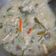 Cooksnap dari Yani Yuningsih untuk resep Sayur Lodeh ala sunda