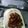Cooksnap dari shadow untuk resep Ayam goreng bumbu