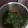 Cooksnap dari Okky Sri untuk resep Sayur bayam sederhana
