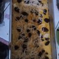 Cooksnap dari Maulina Hasan Zevana Hana untuk resep Prol tape panggang