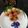 Janki Kalavadia's cooksnap of when they made સ્ટફ્ડ બેસન લાડુ(Stuffed Besan Laddu Recipe In Gujarati).