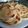 Cooksnap dari Bambang Agung untuk resep Roti Cane atau Roti Maryam