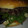 El cooksnap de Fruma cuando hizo Hamburguesas de ternera caseras.