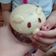 Cooksnap dari Mama untuk resep Bakpao Klasik (+tips supaya tidak keriput)