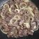 Cooksnap dari Anid untuk resep Beef Teriyaki ala-ala Hokben
