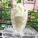Chandra kamdar का कुकस्नैप जब उन्होंने वनीला आइसक्रीम (vanilla icecream recipe in hindi) बनाया था।