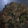 Cooksnap dari Aninditia Sabdaningsih untuk resep Kwetiau Goreng ala Solaria