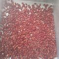 Tumiso Foods's cooksnap of when they made Oven roasted ground nuts.