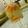 Ketan Mukundrao Gunjal's cooksnap of when they made Mango Lemonade #cooksnap.