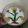 ÝTumpa Bose's cooksnap of when they made বুখারি রায়তা (bukhari raita recipe in Bengali).