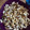 El cooksnap de Sara Jesica Di cuando hizo Palomitas de maíz dulces.