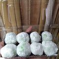 Cooksnap dari dita ummu Khalid untuk resep Mochi kenyal enak dan simpel