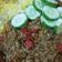 Cooksnap dari Yani Setiawati untuk resep Nasgor simpel