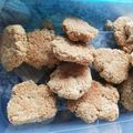 El cooksnap de Ceci 🥧 cuando hizo Galletas de avena y coco en licuadora 🥥 🏝️.