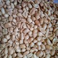 Cooksnap dari Sri Santika untuk resep Kacang Bawang