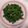 小苓子 的 清炒菜豆 cooksnap