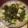 Jhansi's cooksnap of when they made Pan toast Peppered meat.