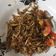 Cooksnap dari Emi untuk resep Penja Mandar