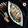 Deepa Rupani's cooksnap of when they made ફારા.