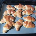 El cooksnap de Gilda Lena cuando hizo Medialunas facilísimas de levadura.