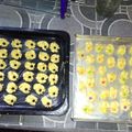 Cooksnap dari Christina Hendrick untuk resep Kue semprit susu,,tiga bahan