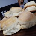 El cooksnap de Julieta Riffel cuando hizo Pan criollo o galleta de campo👩🏼‍🍳 🍞.