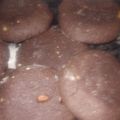 El cooksnap de anndy mouse cuando hizo Cookies de chocolate (sin manteca).