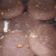 El cooksnap de anndy mouse cuando hizo Cookies de chocolate (sin manteca).
