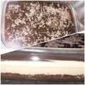 Cooksnap από ATHINA_SERRES SynAthina στη συνταγή Τάρτα chocotorta Αργεντινής