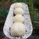 Cooksnap dari Mona Astria untuk resep Bakpao Kukus Lembut Ekonomis