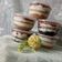 Cooksnap dari Nani Mulyani untuk resep Dessert box Cheese Marie Regal