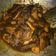 Cooksnap dari merry sriyanti untuk resep Semur daging kepala sapi
